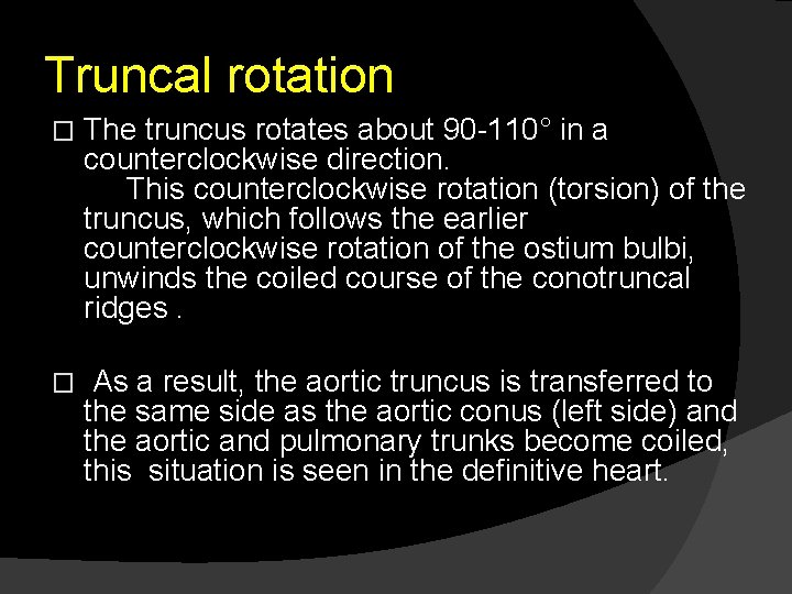 Truncal rotation � The truncus rotates about 90 -110° in a counterclockwise direction. This