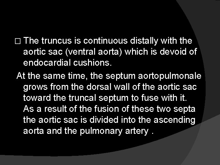 � The truncus is continuous distally with the aortic sac (ventral aorta) which is
