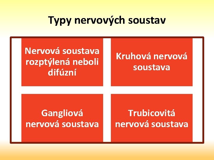 Typy nervových soustav Nervová soustava rozptýlená neboli difúzní Kruhová nervová soustava Gangliová nervová soustava