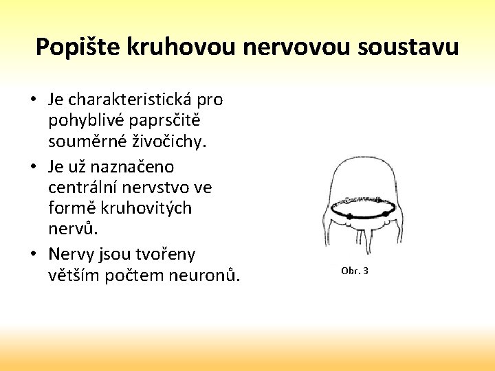 Popište kruhovou nervovou soustavu • Je charakteristická pro pohyblivé paprsčitě souměrné živočichy. • Je