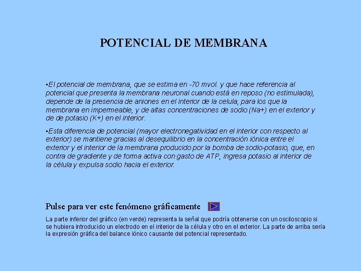POTENCIAL DE MEMBRANA • El potencial de membrana, que se estima en -70 mvol.
