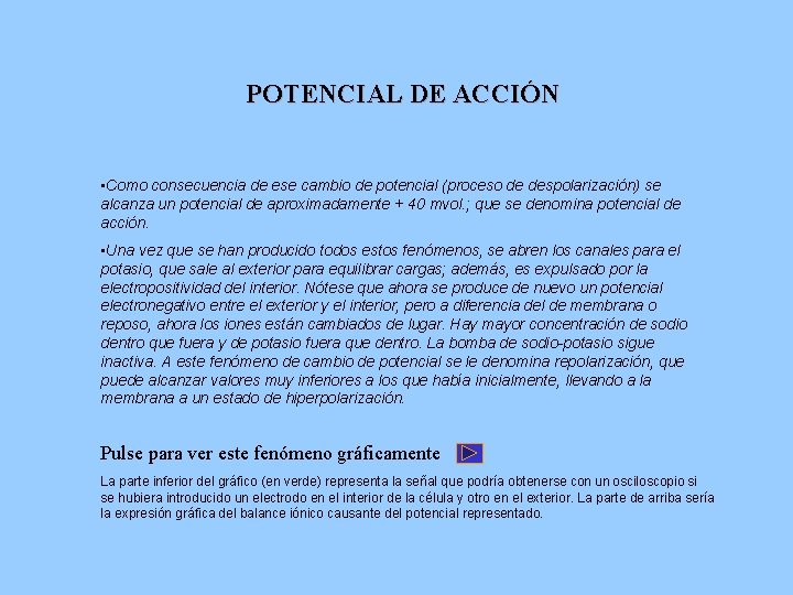 POTENCIAL DE ACCIÓN • Como consecuencia de ese cambio de potencial (proceso de despolarización)