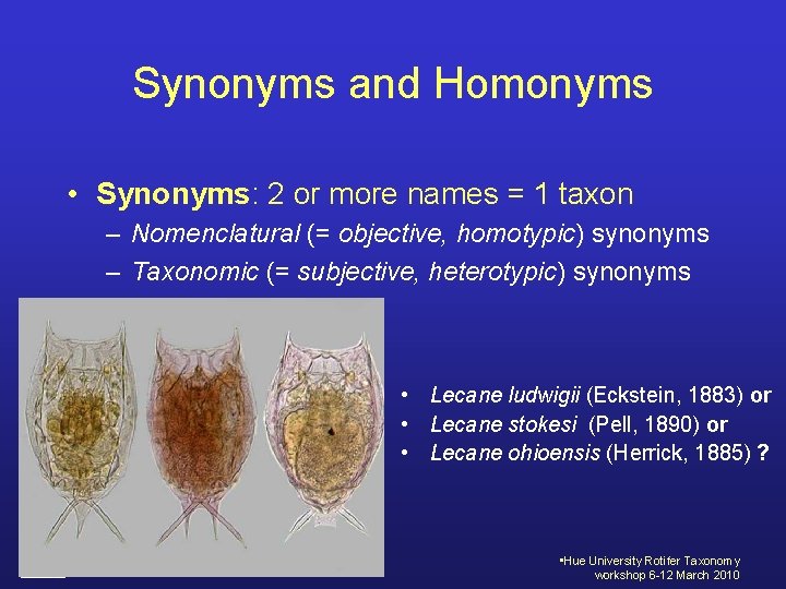 Synonyms and Homonyms • Synonyms: 2 or more names = 1 taxon – Nomenclatural