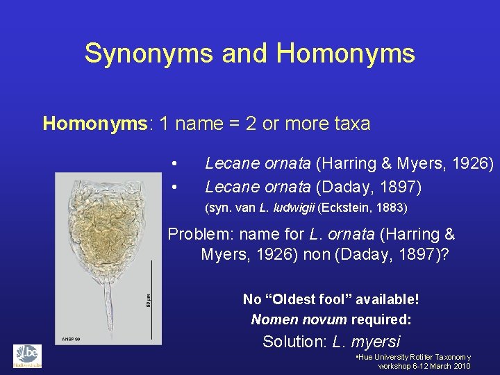 Synonyms and Homonyms: 1 name = 2 or more taxa • • Lecane ornata