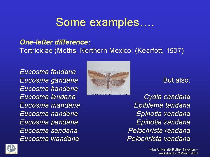 Some examples…. One-letter difference: Tortricidae (Moths, Northern Mexico: (Kearfott, 1907) Eucosma fandana Eucosma gandana