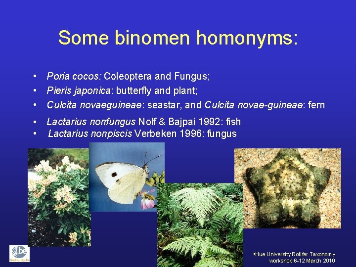 Some binomen homonyms: • Poria cocos: Coleoptera and Fungus; • Pieris japonica: butterfly and