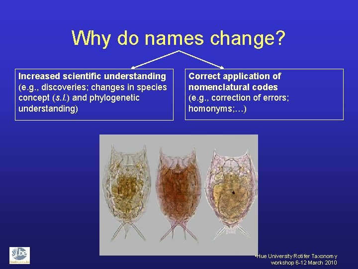 Why do names change? Increased scientific understanding (e. g. , discoveries; changes in species