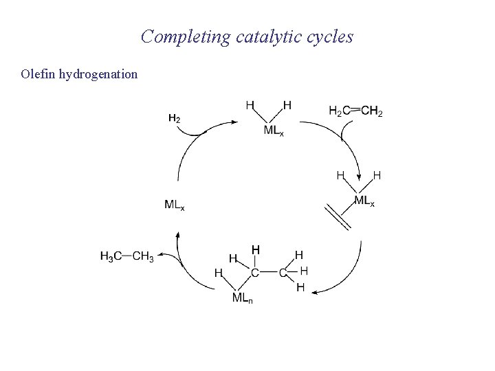 Completing catalytic cycles Olefin hydrogenation 