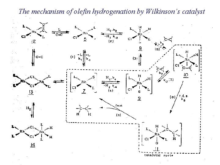 The mechanism of olefin hydrogenation by Wilkinson’s catalyst 