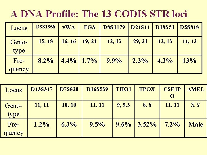 A DNA Profile: The 13 CODIS STR loci Locus D 3 S 1358 v.