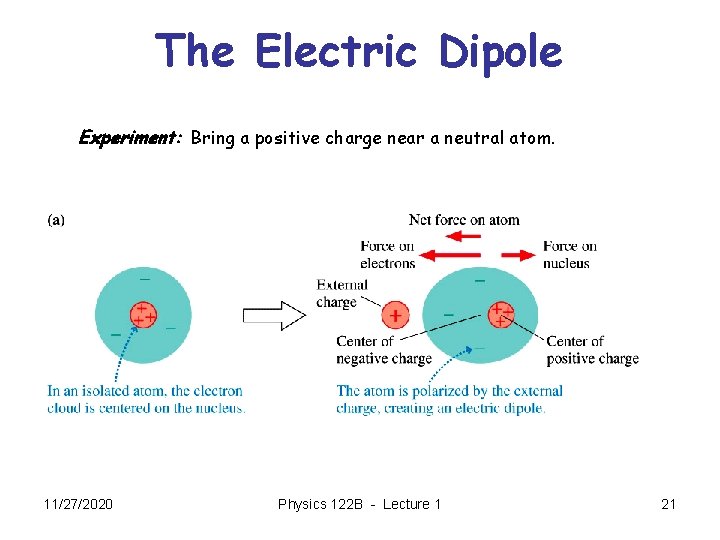 The Electric Dipole Experiment: Bring a positive charge near a neutral atom. 11/27/2020 Physics