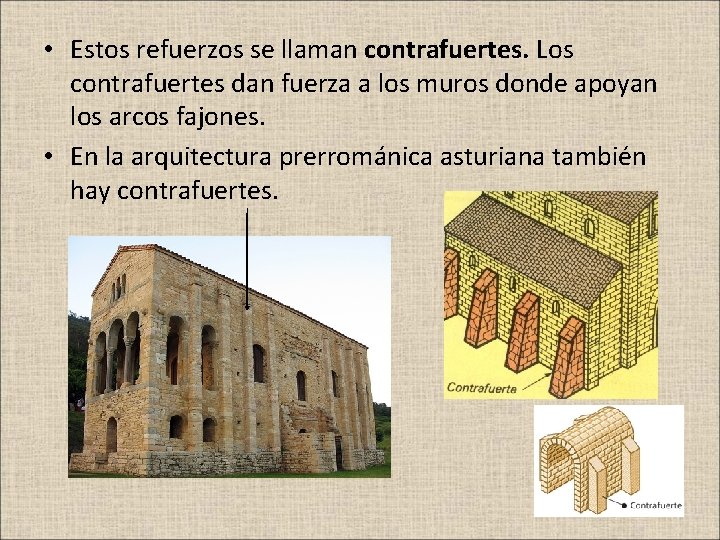  • Estos refuerzos se llaman contrafuertes. Los contrafuertes dan fuerza a los muros