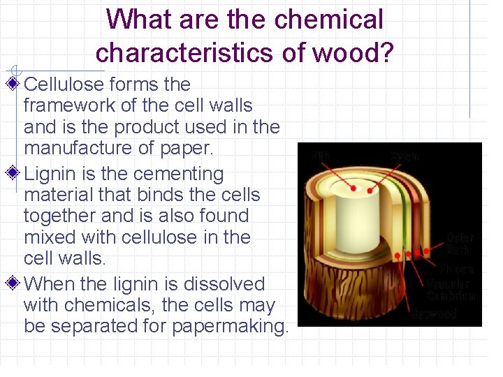 What are the chemical characteristics of wood? Cellulose forms the framework of the cell