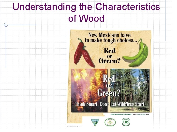 Understanding the Characteristics of Wood 