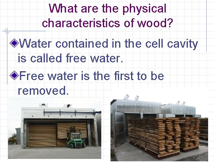 What are the physical characteristics of wood? Water contained in the cell cavity is