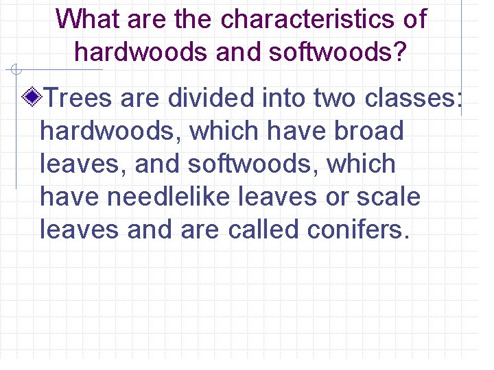 What are the characteristics of hardwoods and softwoods? Trees are divided into two classes: