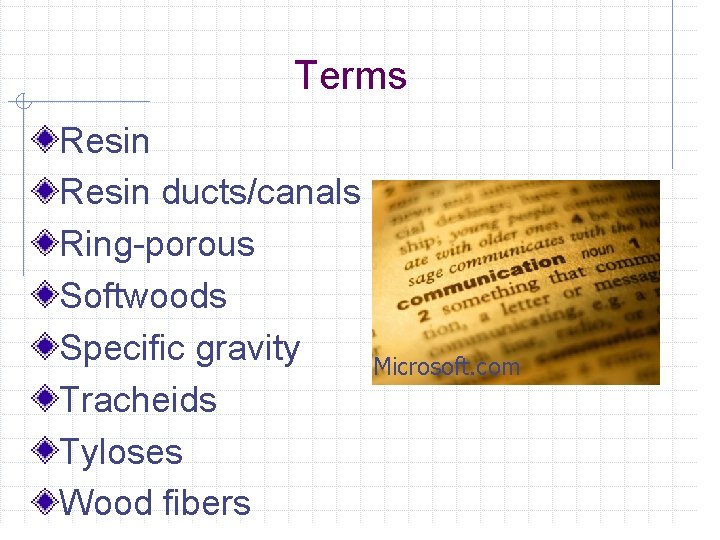 Terms Resin ducts/canals Ring-porous Softwoods Specific gravity Tracheids Tyloses Wood fibers Microsoft. com 