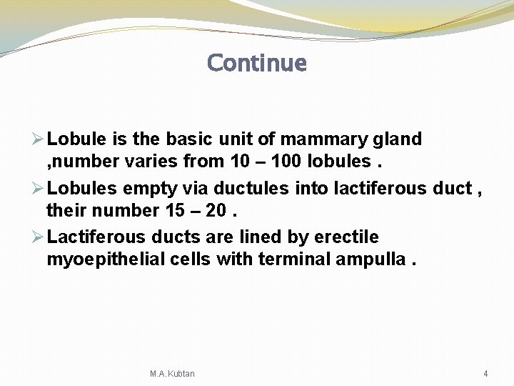 Continue Ø Lobule is the basic unit of mammary gland , number varies from