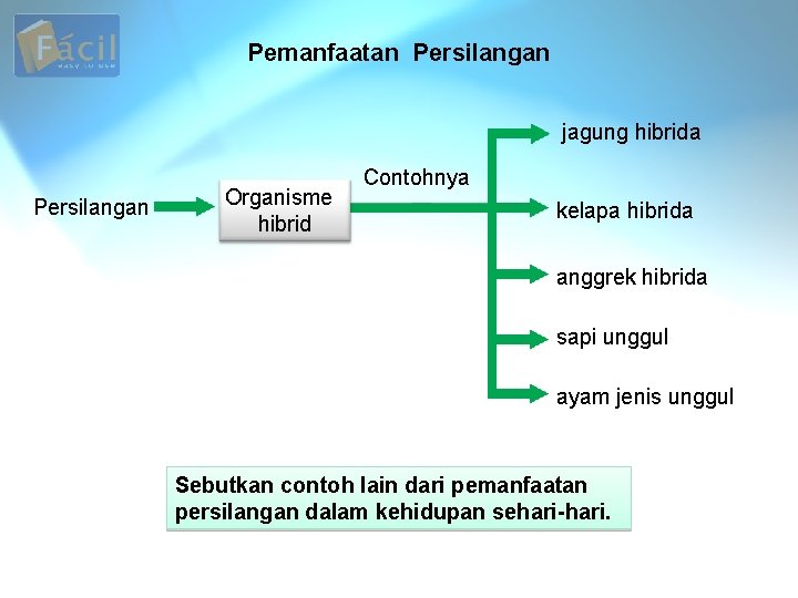 Pemanfaatan Persilangan jagung hibrida Persilangan Organisme hibrid Contohnya kelapa hibrida anggrek hibrida sapi unggul