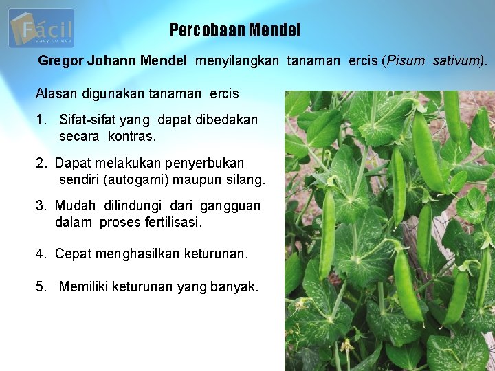 Percobaan Mendel Gregor Johann Mendel menyilangkan tanaman ercis (Pisum sativum). Alasan digunakan tanaman ercis