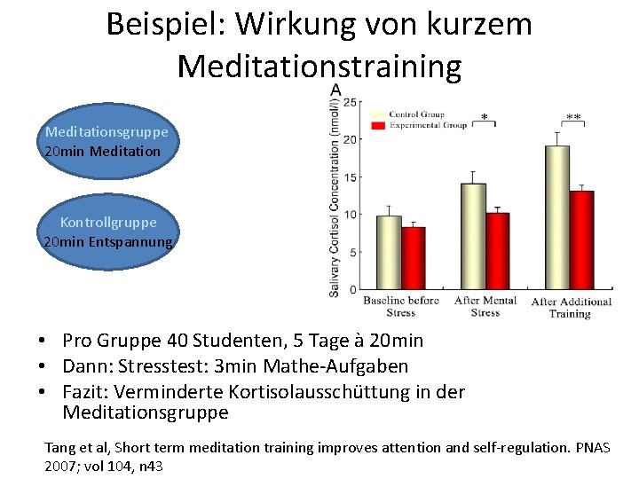 Beispiel: Wirkung von kurzem Meditationstraining Meditationsgruppe 20 min Meditation Kontrollgruppe 20 min Entspannung •