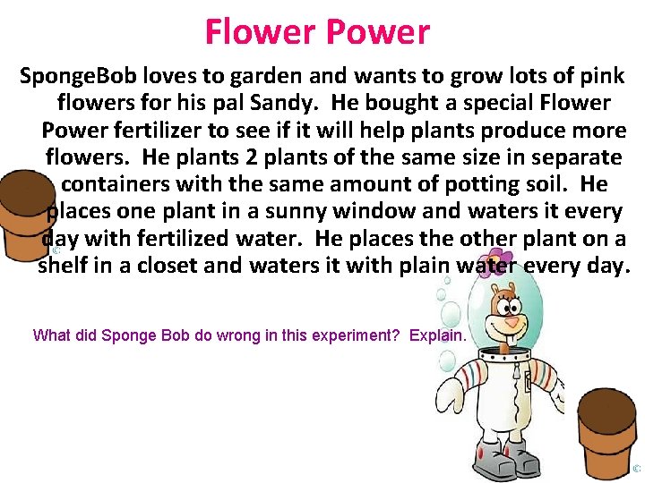 Flower Power Sponge. Bob loves to garden and wants to grow lots of pink