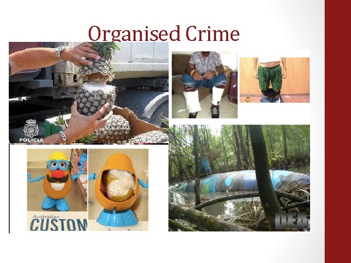 Organised Crime 