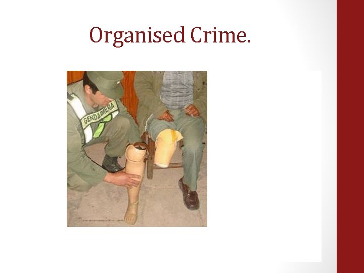 Organised Crime. 