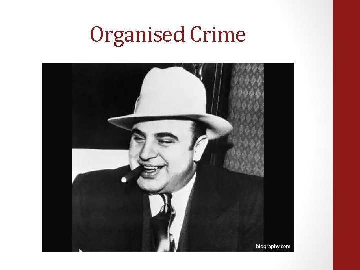 Organised Crime 