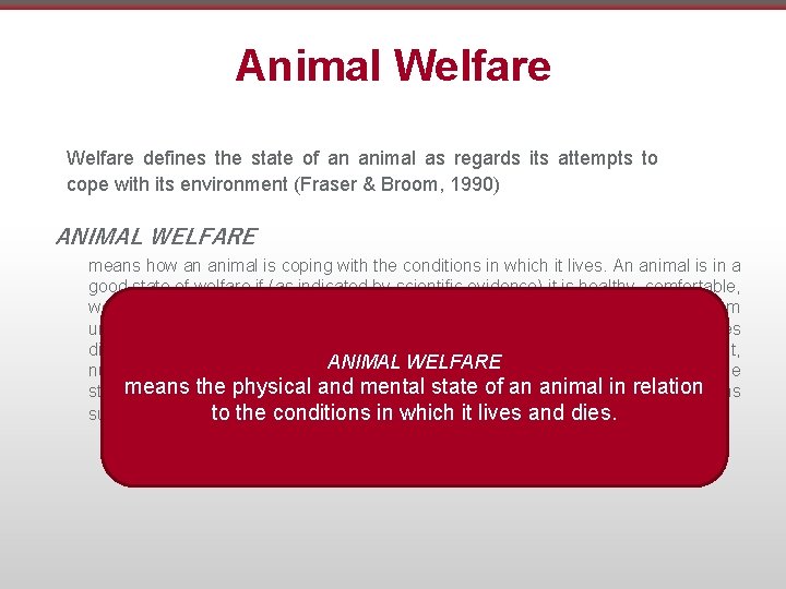 Animal Welfare defines the state of an animal as regards its attempts to cope