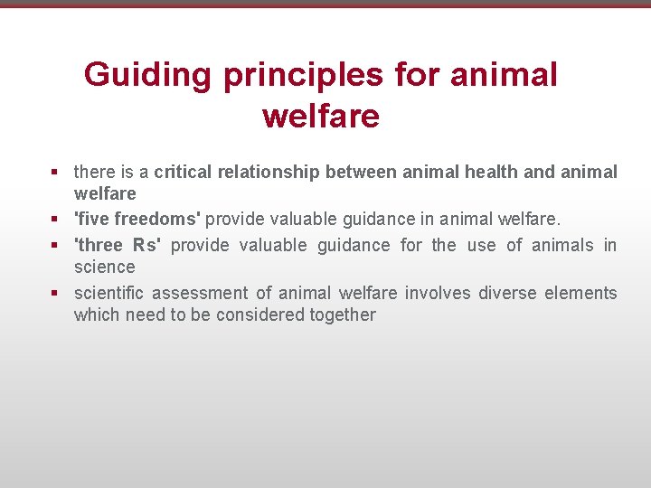 Guiding principles for animal welfare § there is a critical relationship between animal health