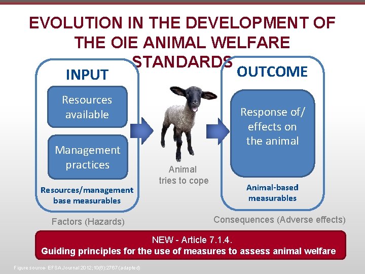 EVOLUTION IN THE DEVELOPMENT OF THE OIE ANIMAL WELFARE STANDARDS OUTCOME INPUT Resources available