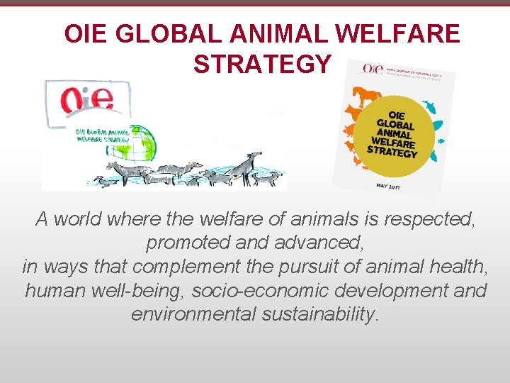 OIE GLOBAL ANIMAL WELFARE STRATEGY A world where the welfare of animals is respected,