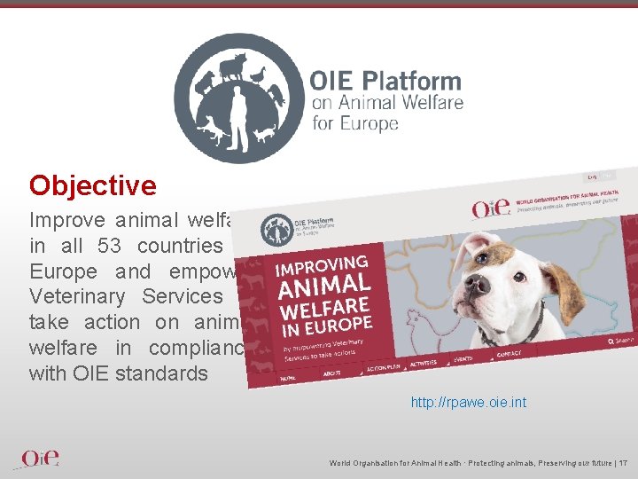 Objective Improve animal welfare in all 53 countries of Europe and empower Veterinary Services