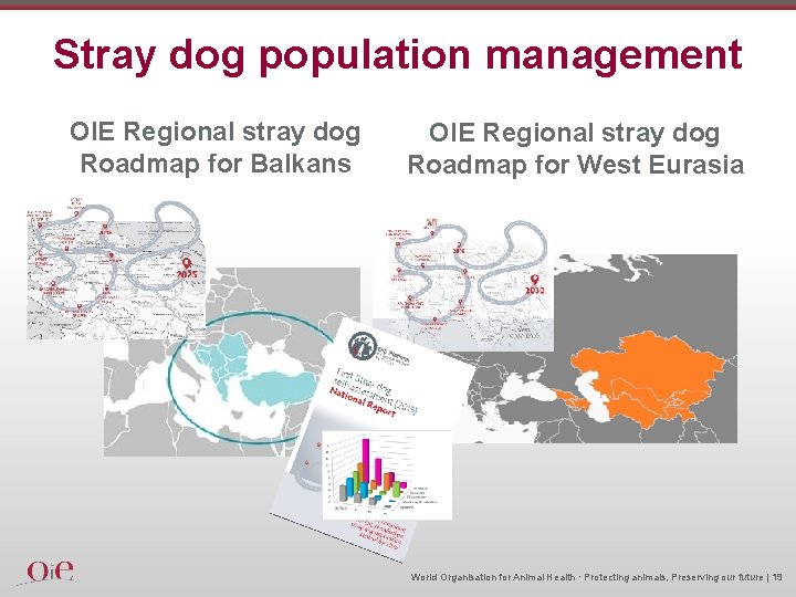 Stray dog population management OIE Regional stray dog Roadmap for Balkans OIE Regional stray