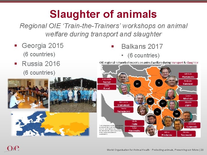 Slaughter of animals Regional OIE ‘Train-the-Trainers’ workshops on animal welfare during transport and slaughter