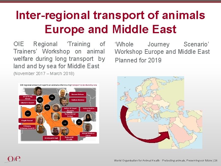 Inter-regional transport of animals Europe and Middle East OIE Regional ‘Training of Trainers’ Workshop
