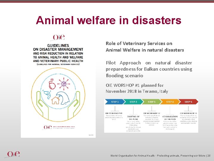 Animal welfare in disasters Role of Veterinary Services on Animal Welfare in natural disasters