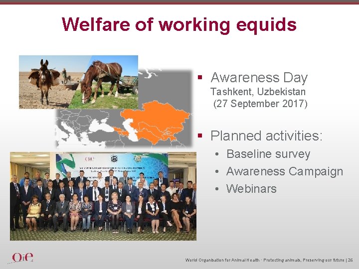 Welfare of working equids § Awareness Day Tashkent, Uzbekistan (27 September 2017) § Planned