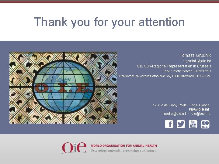 Thank you for your attention Tomasz Grudnik t. grudnik@oie. int OIE Sub-Regional Representation in