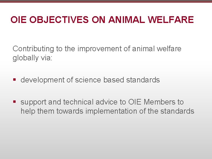 OIE OBJECTIVES ON ANIMAL WELFARE Contributing to the improvement of animal welfare globally via: