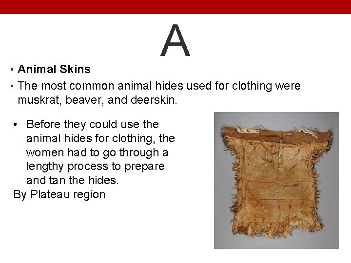  • Animal Skins A • The most common animal hides used for clothing
