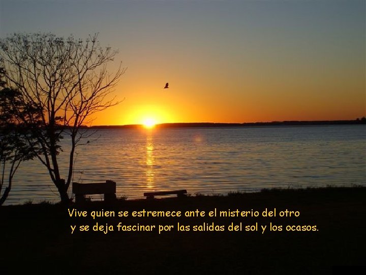 Vive quien se estremece ante el misterio del otro y se deja fascinar por