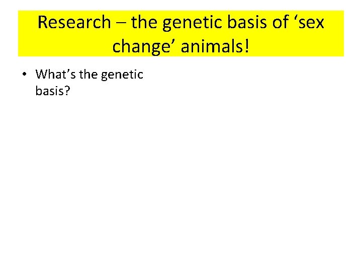 Research – the genetic basis of ‘sex change’ animals! • What’s the genetic basis?