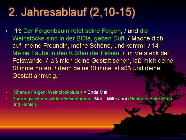 2. Jahresablauf (2, 10 -15) • „ 13 Der Feigenbaum rötet seine Feigen, /