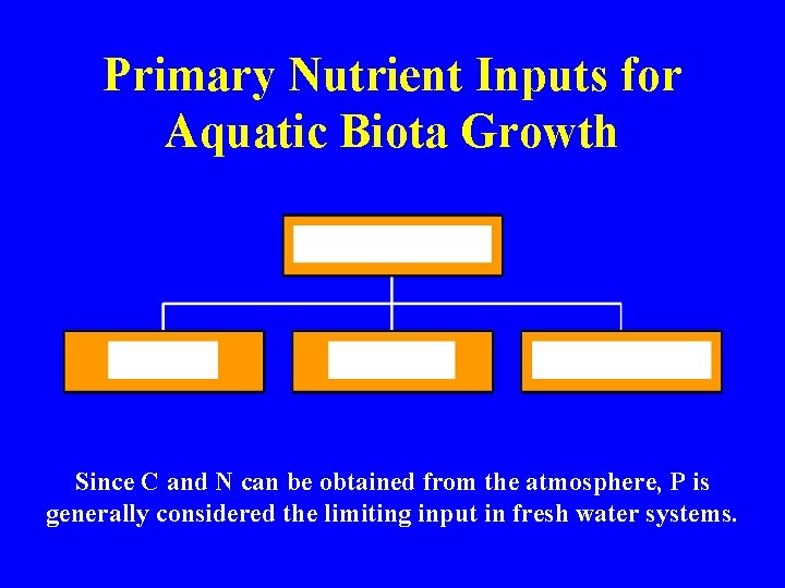 Primary Nutrient Inputs for Aquatic Biota Growth Since C and N can be obtained