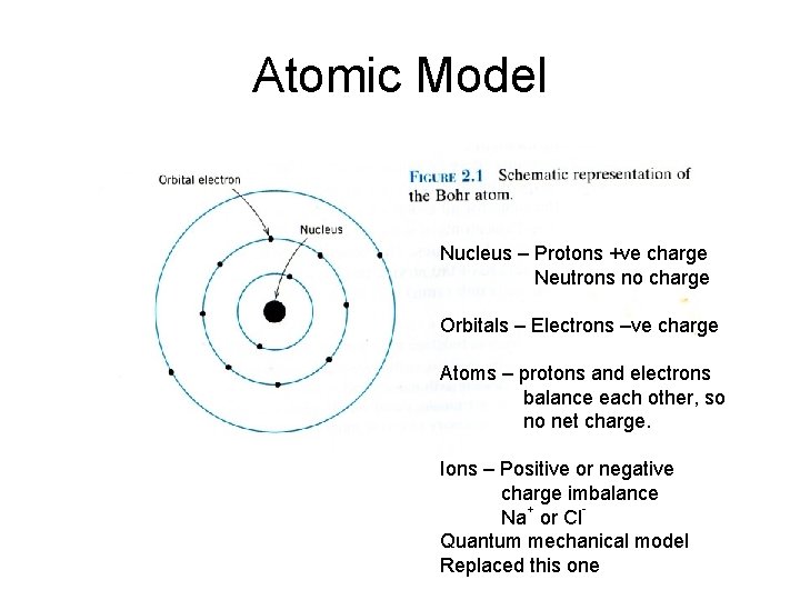 Atomic Model Nucleus – Protons +ve charge Neutrons no charge Orbitals – Electrons –ve