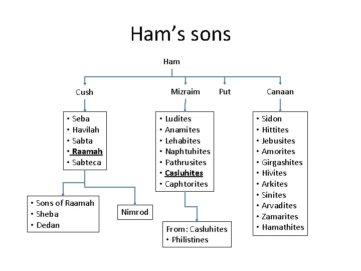Ham’s sons Ham Cush Mizraim • Seba • Havilah • Sabta • Raamah •