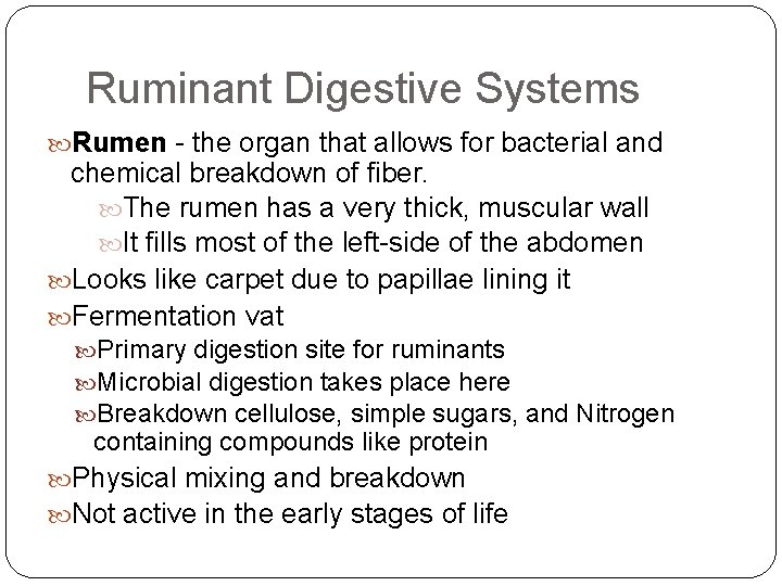 Ruminant Digestive Systems Rumen - the organ that allows for bacterial and chemical breakdown