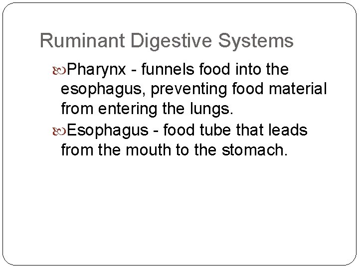Ruminant Digestive Systems Pharynx - funnels food into the esophagus, preventing food material from